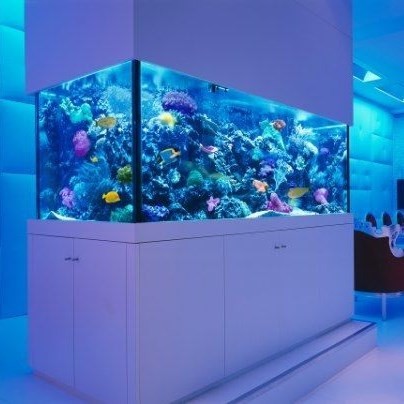 Rogaland Fish tank customized