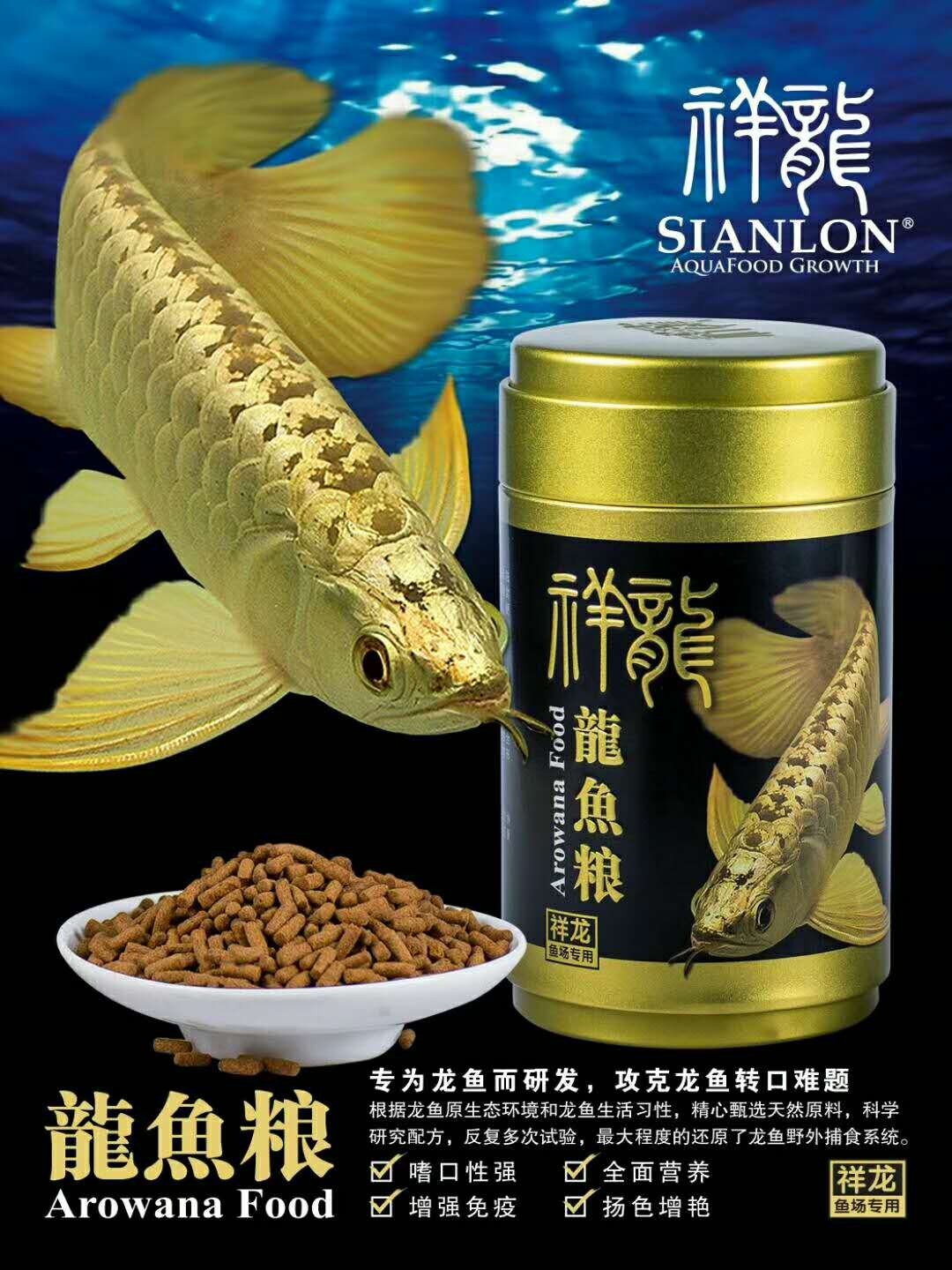 Rogaland Golden dragon fish food