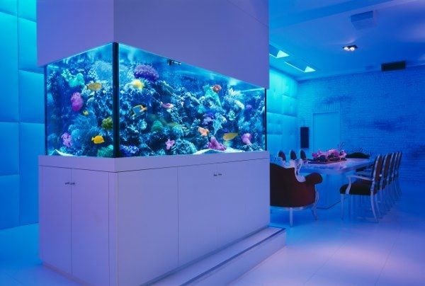 Rogaland Acrylic aquarium customized